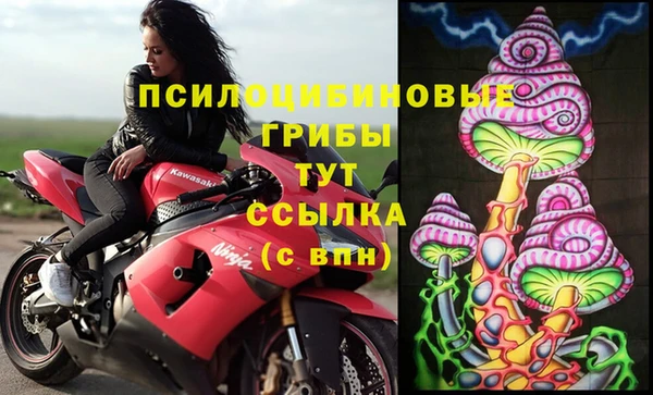стафф Новодвинск