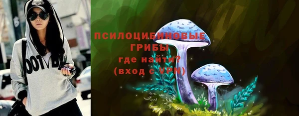 твердый Абаза