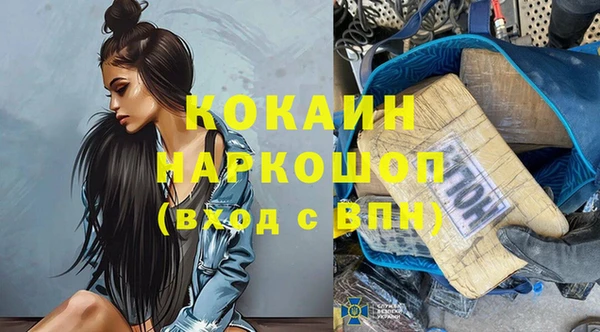 стаф Абинск