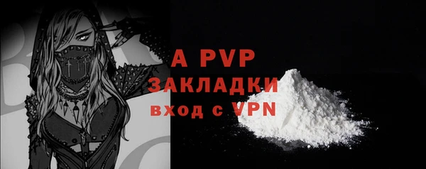 стаф Абинск