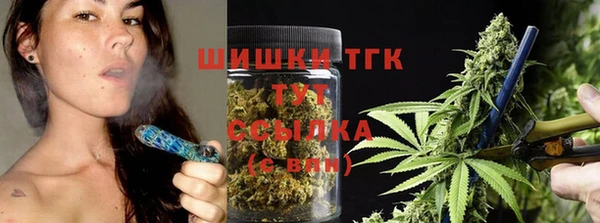 стаф Абинск